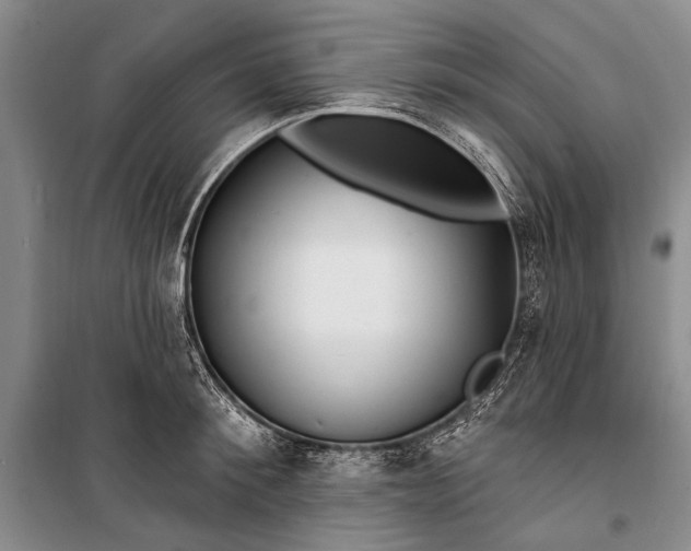 X0000100210900200806131249