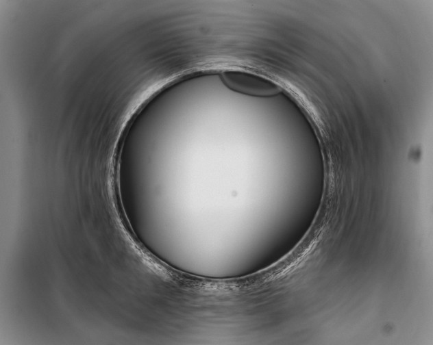 X0000100210901200806131249