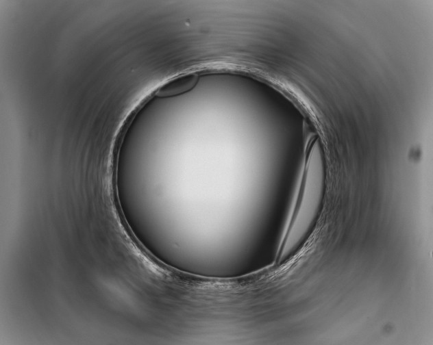 X0000100210902200806131249