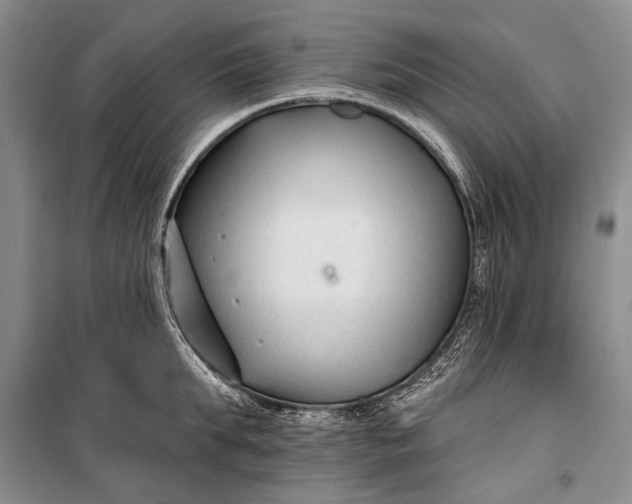 X0000100210903200806131249