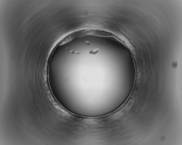 X0000100210904200806131249