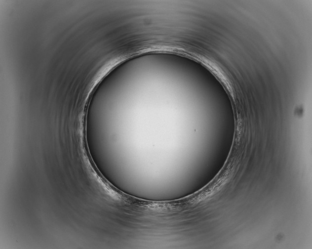 X0000100210906200806131249