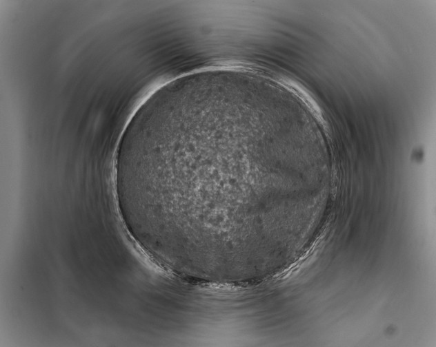 X0000100210907200806131249