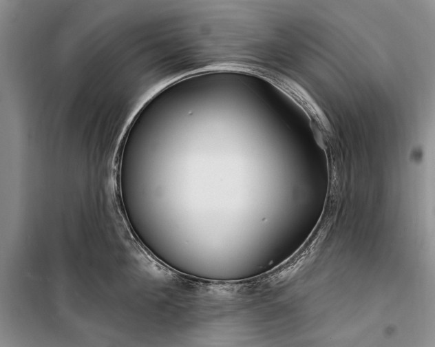 X0000100210908200806131249