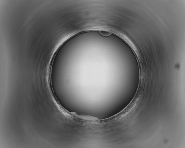 X0000100210909200806131249