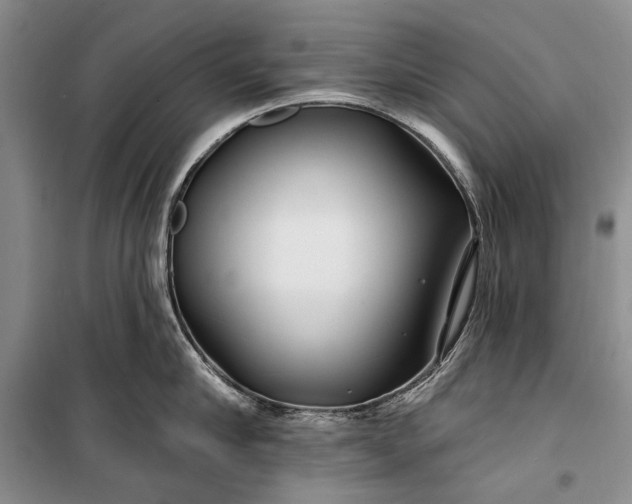 X0000100210910200806131249