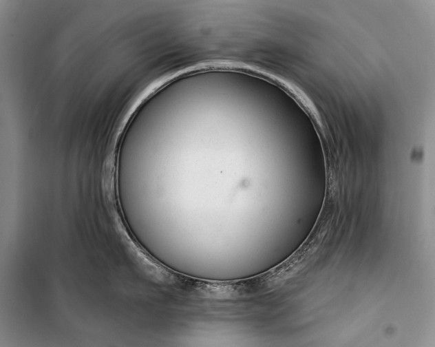 X0000100210911200806131249