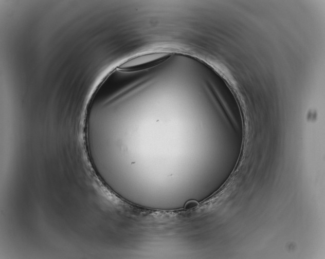 X0000100210912200806131249