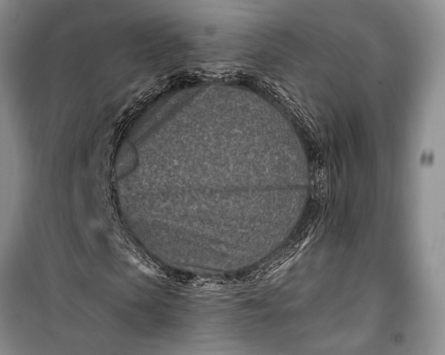 X0000100210913200806131248