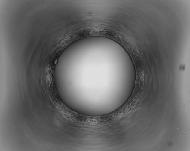 X0000100210914200806131248