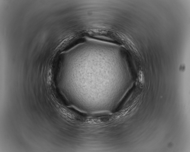 X0000100210915200806131249