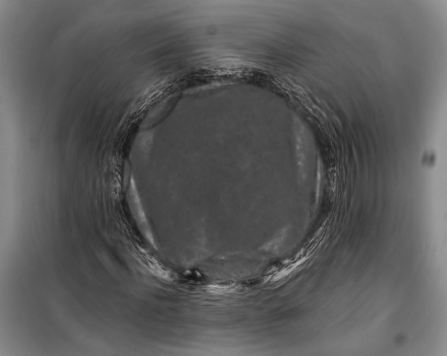 X0000100210916200806131249