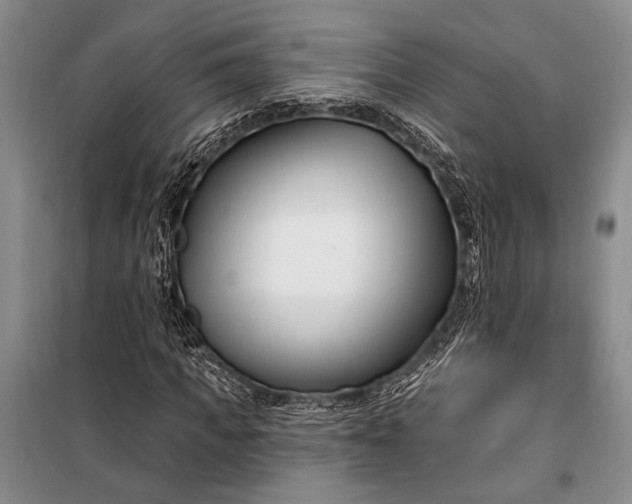 X0000100210917200806131249