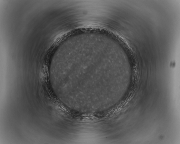 X0000100210918200806131249