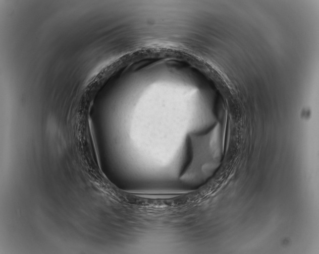 X0000100210919200806131249