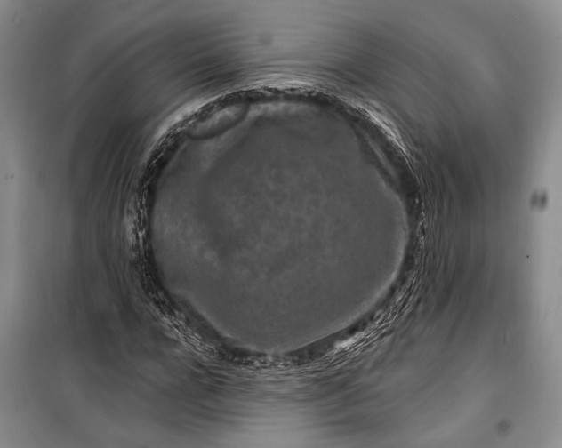 X0000100210920200806131249