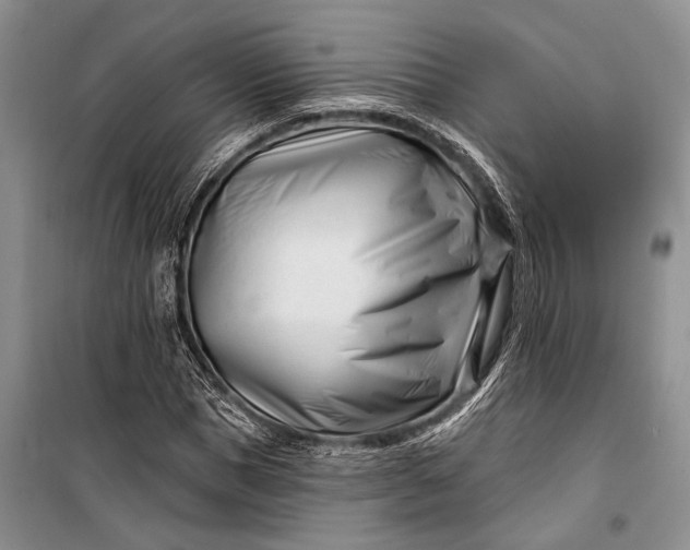 X0000100210921200806131249