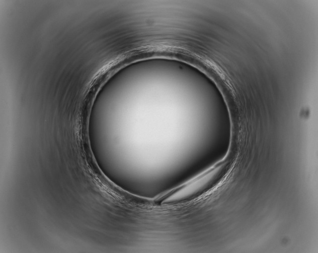 X0000100210922200806131249