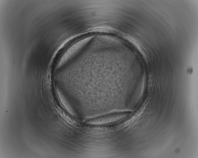 X0000100210923200806131249