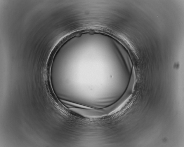 X0000100210924200806131249