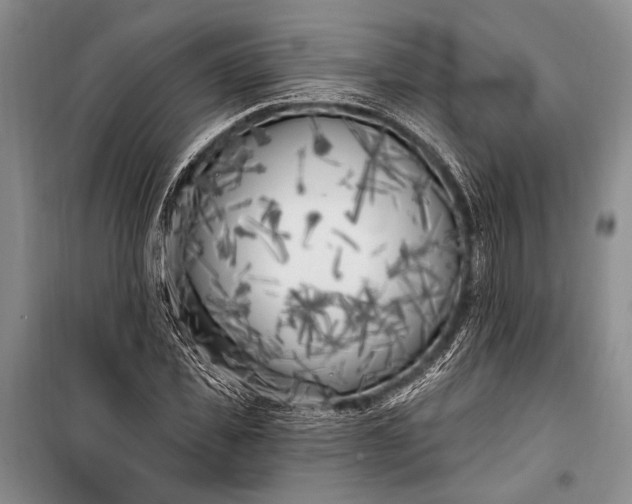 X0000100210925200806131249