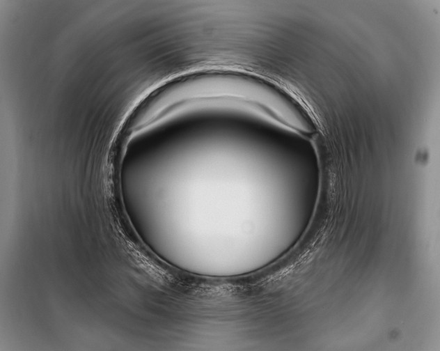 X0000100210926200806131249