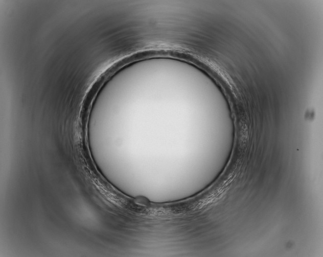 X0000100210927200806131249