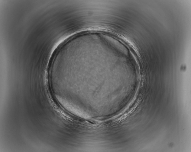 X0000100210928200806131249