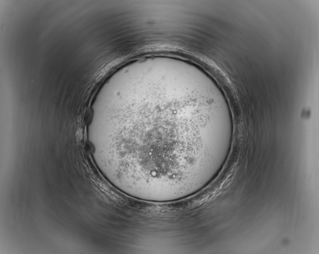 X0000100210929200806131249