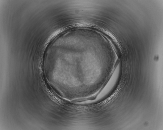 X0000100210930200806131249