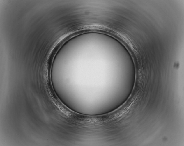 X0000100210931200806131249