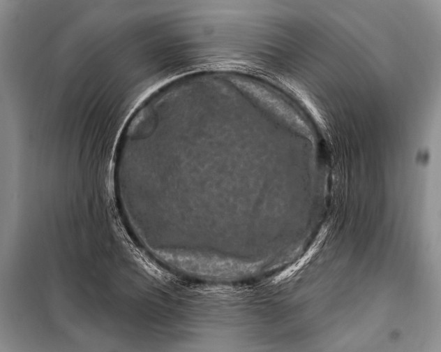 X0000100210932200806131249