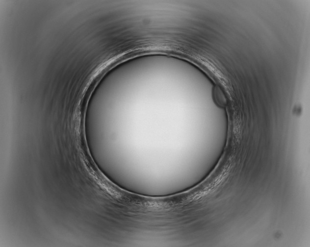 X0000100210933200806131249