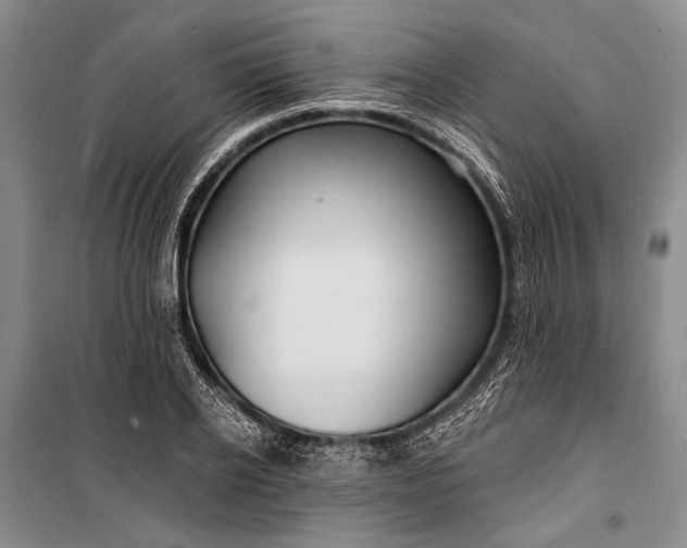 X0000100210934200806131249