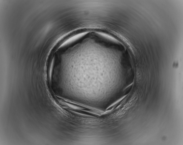 X0000100210935200806131249