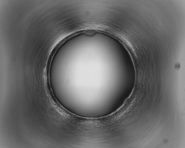 X0000100210936200806131249