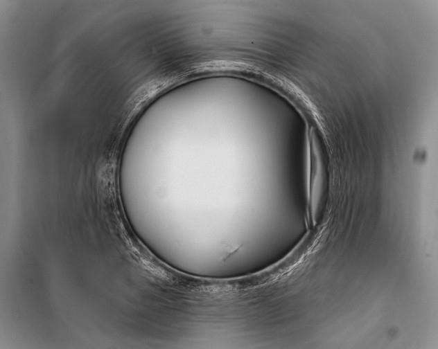 X0000100210937200806131249