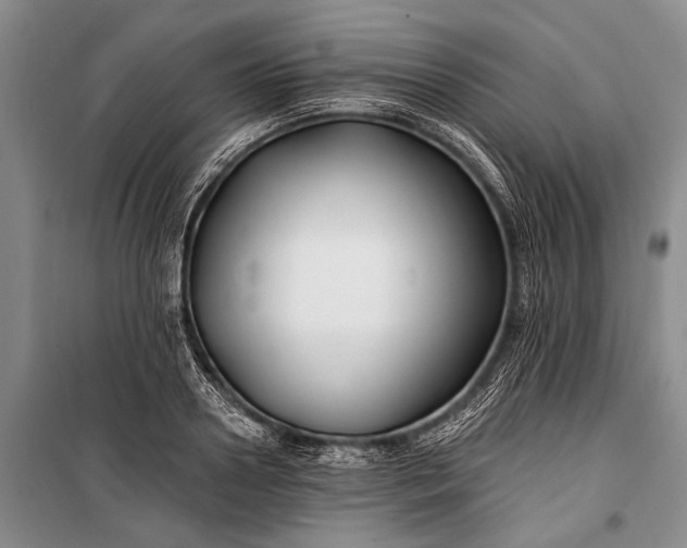 X0000100210938200806131249