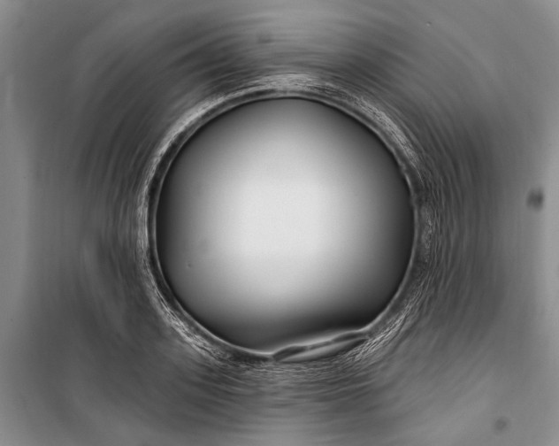 X0000100210939200806131249