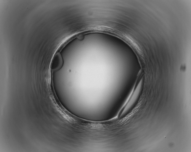 X0000100210940200806131249