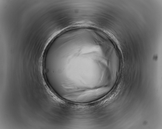 X0000100210941200806131249