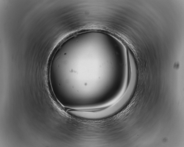 X0000100210942200806131249