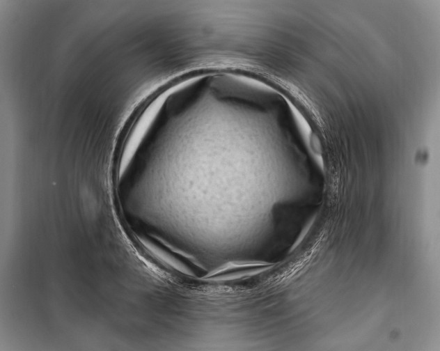 X0000100210943200806131249