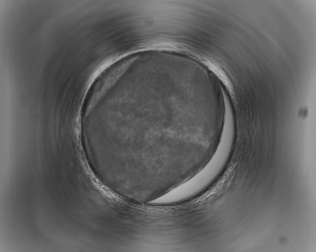 X0000100210944200806131249