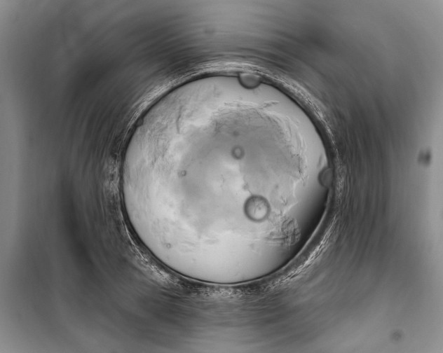 X0000100210945200806131249