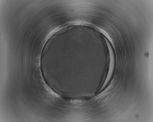 X0000100210946200806131249