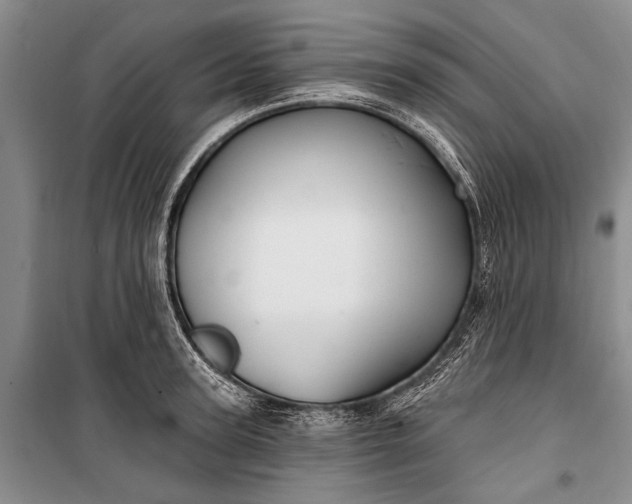 X0000100210947200806131249