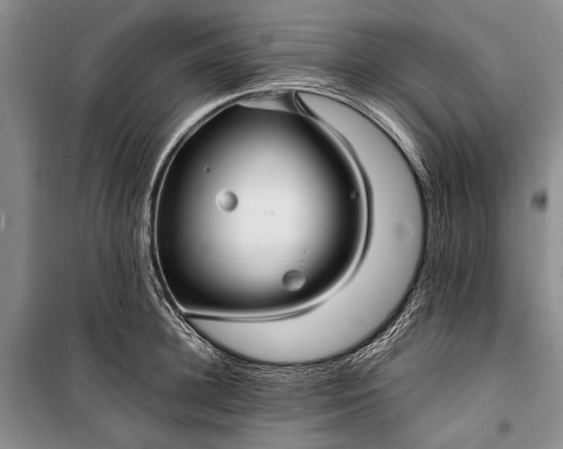 X0000100210948200806131249