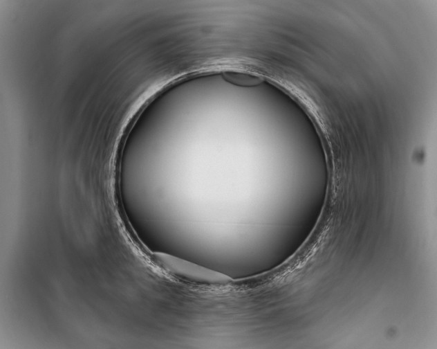 X0000100210949200806131249