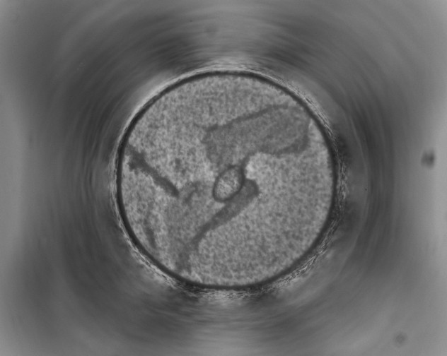 X0000100210950200806131249